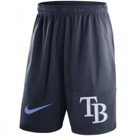 Men's Tampa Bay Rays Nike Navy Dry Fly Shorts