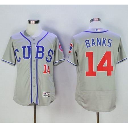 Cubs #14 Ernie Banks Grey Flexbase Authentic Collection Alternate Road Stitched MLB Jersey