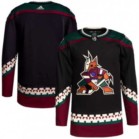 Men's Arizona Coyotes Blank Black Stitched Jersey