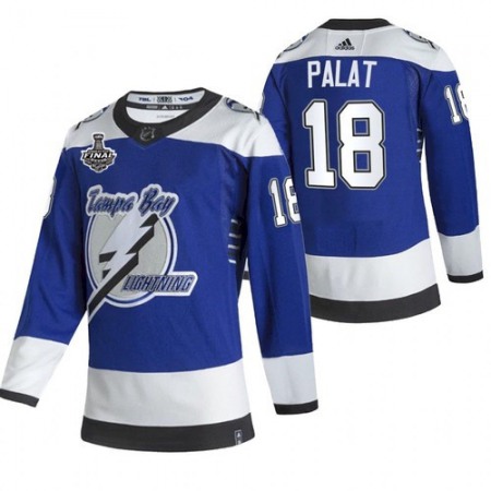 Men's Tampa Bay Lightning #18 Ondrej Palat 2021 Blue Stanley Cup Final Bound Reverse Retro Stitched Jersey