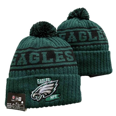 Philadelphia Eagles Beanies Knit Hat