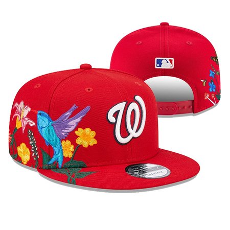 Washington Nationals Snapback Hat